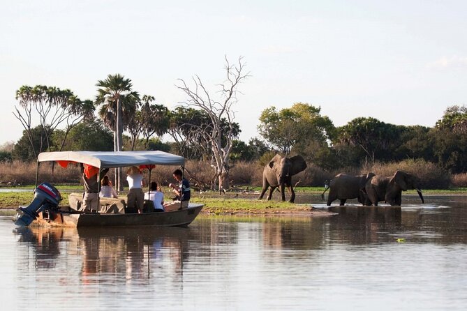 3-Days Private Nyerere NP Game Drive and Boat safari tour - Key points before you plan your Nyerere safari