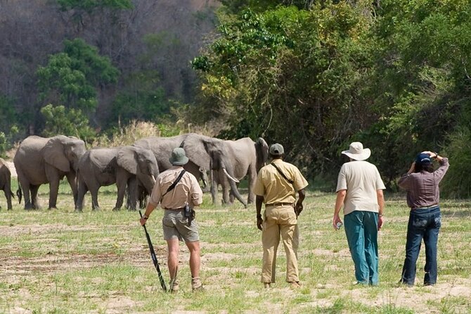 3-Days Private Nyerere NP Game Drive and Boat safari tour - Dar es Salaam pickup to Selous drive: long hours, but it sets the tone