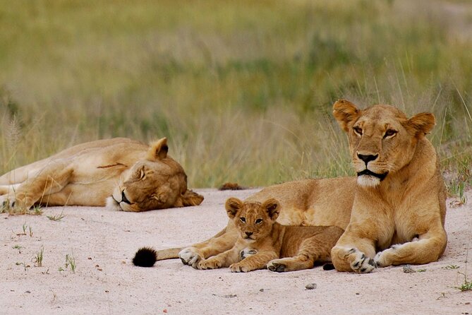 3-Days Private Nyerere NP Game Drive and Boat safari tour - Rufiji River boat safari at dusk: the wildlife show you cannot fake
