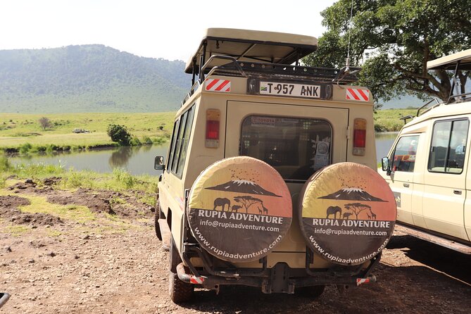 3 Days Private Safari - manyara, Ngorongoro & Tarangire - Timing, weather, and what your day will feel like