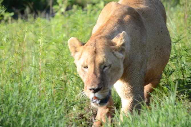 3 Days private safari Tarangire ,Ngorongroro crater &Manyara - Price and value for a private 3-day circuit