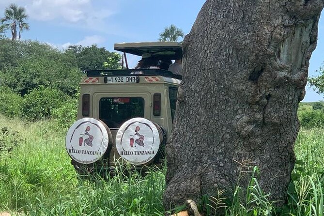 3 days safari in North- Ngorongoro, Tarangire, Mt. Oldeani - Lodging and comfort level, what you should pack for reality