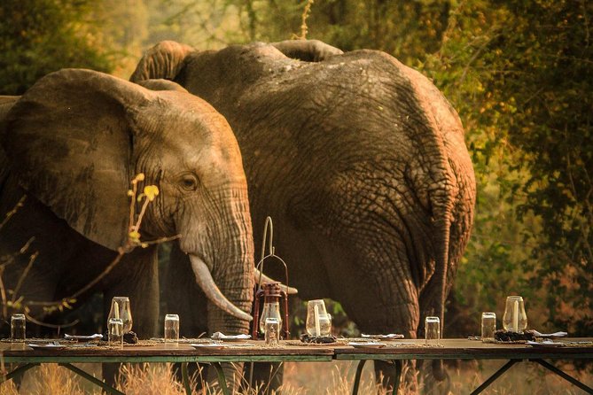 3 Days Safari - Mikumi National Park - Key things I’d focus on before you go