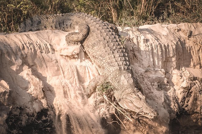 3 Days Safari - Mikumi National Park - Where you sleep and what you eat on safari