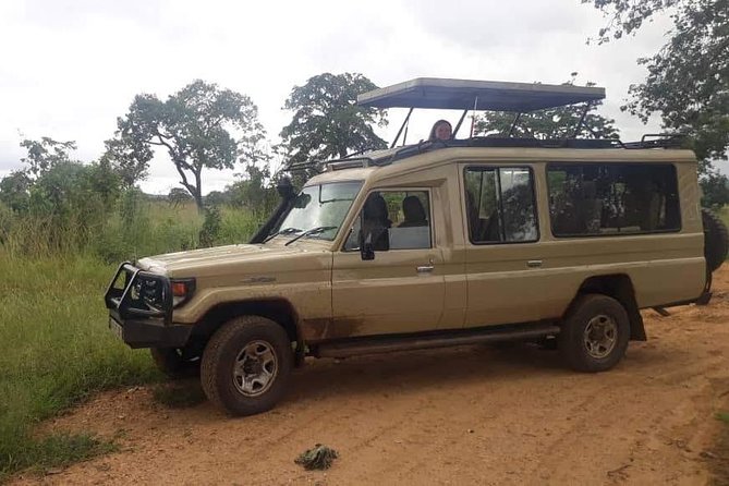 3 Days Safari - Mikumi National Park - Wildlife learning: why your guide matters as much as your vehicle