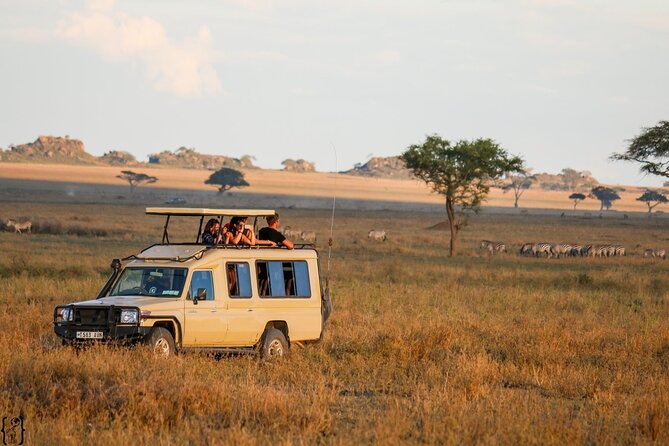 3 Days Safari Ngorongoro Crater and Serengeti National Park - Day two Serengeti focus, kopjes, rhinos, and predator spotting points