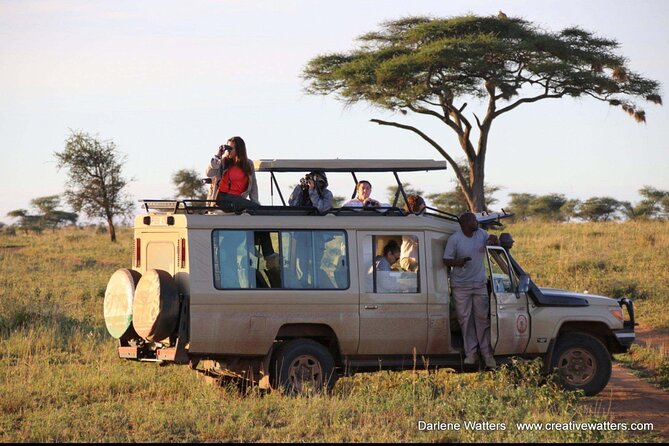 3 Days Safari Ngorongoro Crater and Serengeti National Park - Ngorongoro Conservation Area, crater views with Big Five odds