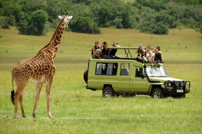 3 Days Safari Ngorongoro Crater and Serengeti National Park - Camping nights and meals that keep you fueled