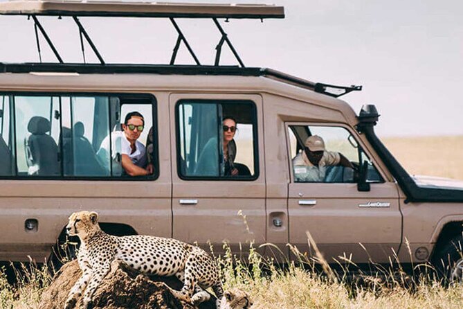3 Days Safari Ngorongoro Crater and Serengeti National Park - Guides, communication, and why this trip feels low-stress
