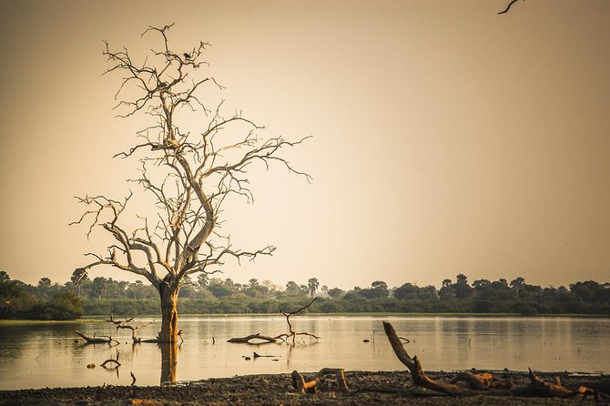 3 Days Safari - Selous Game Reserve - Quick hits before you go