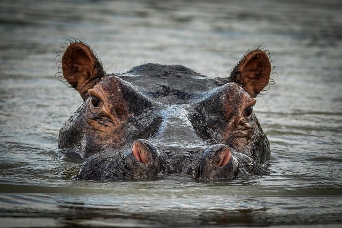 3 Days Safari - Selous Game Reserve - Getting from Dar es Salaam to the reserve (and how early starts feel)