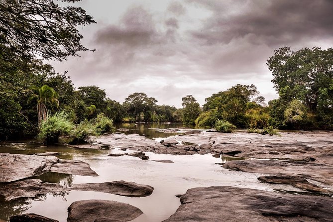 3 Days Safari - Selous Game Reserve - Day 1: Selous Tented Camp and your Rufiji River boat safari
