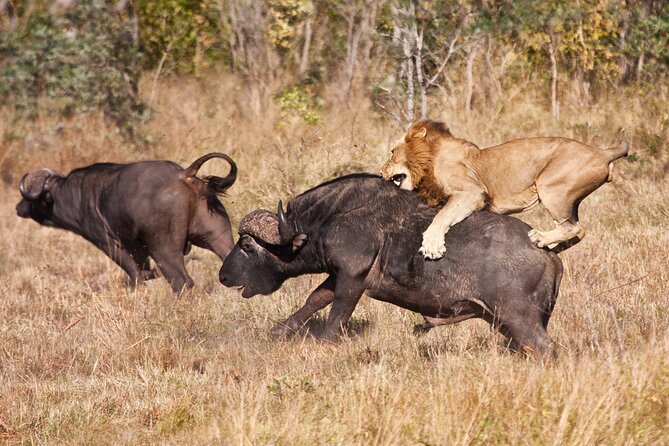 3 Days Safari Serengeti & Ngorongoro Crater - Serengeti and Ngorongoro together: why this combo works