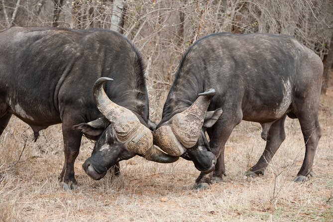 3 Days Safari Serengeti & Ngorongoro Crater - Price and value: what $750 per person actually covers