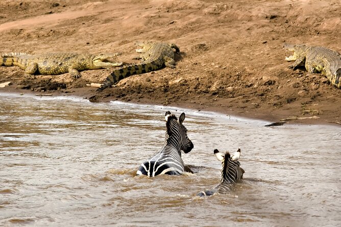 3 Days Safari Serengeti & Ngorongoro Crater - Who should book this, and who might want a different style