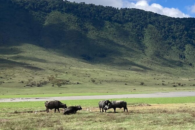 3 Days Safari Serengeti NP and Ngorongoro Crater - The guides and the camp team you want to have
