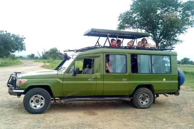 3 Days Safari to Mikumi NP - Accommodation Inside the Park - Day 2: a full day game drive with lunch boxes and nonstop looking