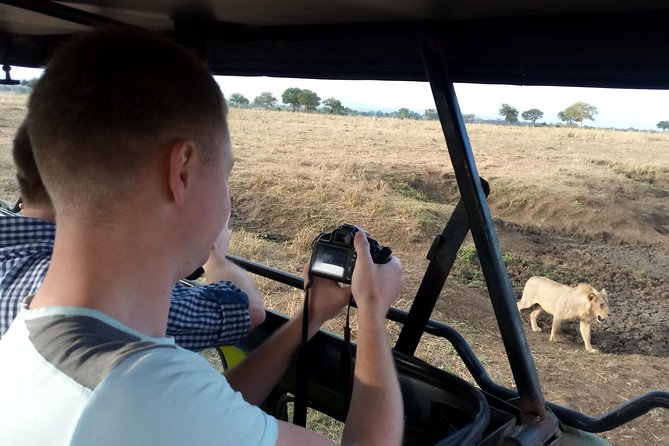 3 Days Safari to Mikumi NP - Accommodation Inside the Park - Day 3: sunrise, then back to Dar es Salaam (inside the park matters)