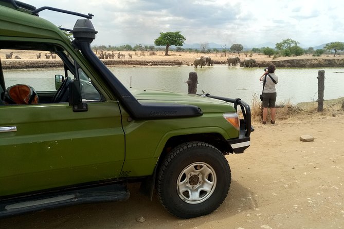 3 Days Safari to Mikumi NP - Accommodation Inside the Park - The guide and the vehicle: where the safari quality is won or lost