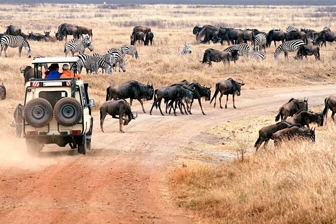 3 days Safari to Tarangire, Ngorongoro and Manyara from Zanzibar - Why This 3-Day Loop Works So Well From Zanzibar