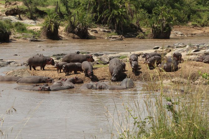 3 Days Safari Tour in Lake Manyara and Ngorngoro - Why this Manyara to Ngorongoro route makes sense