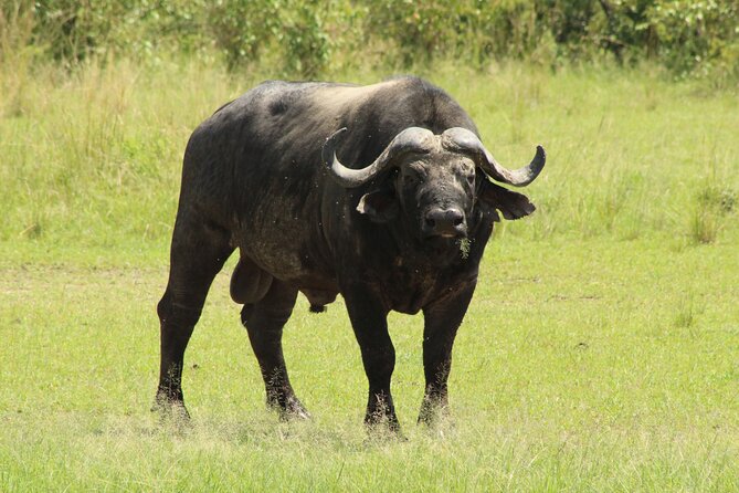 3 Days Safari Tour in Lake Manyara and Ngorngoro - Day 1 night: Dinner and overnight in Karatu