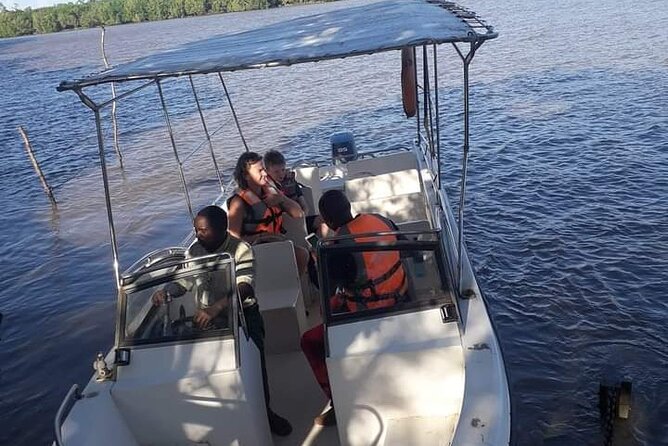 3 Days Selous Game Reserve Fly From Zanzibar - Who this safari suits best, and who should think twice