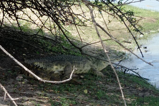 3 Days Selous (Nyerere National Park) - Mloka Safaris Lodge and the full-board benefit