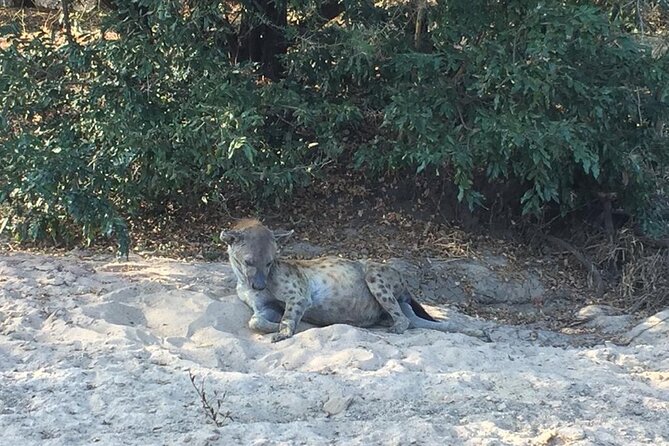 3 Days Selous (Nyerere National Park) - Day 1: drive in, lunch, then the Rufiji River boat safari