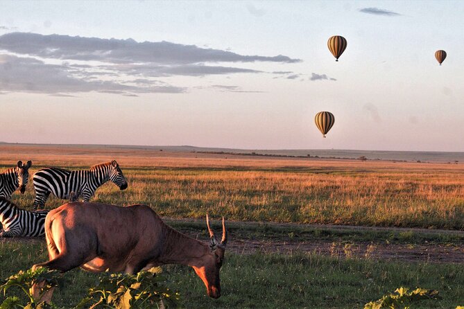 3 Days Serengeti and Ngorongoro Crater Safari from Mwanza to Arusha - Day 1 in Serengeti: first big wilderness feeling