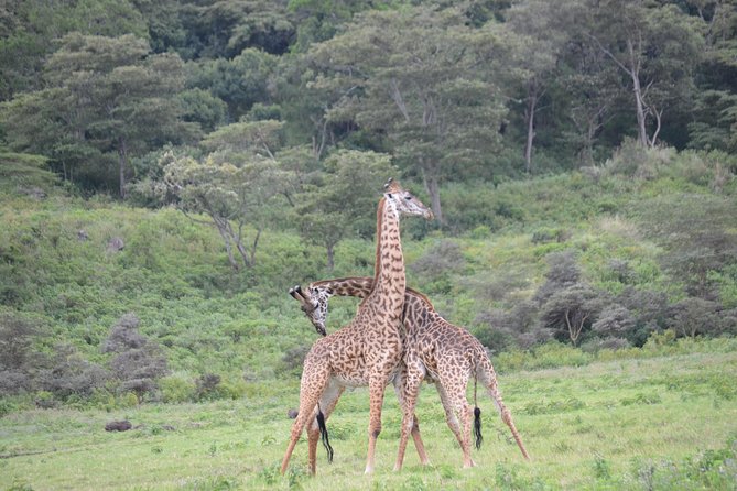 3 Days Serengeti & Ngorongoro Crater group safari - 3 days, two icons: Serengeti and Ngorongoro in one tight plan