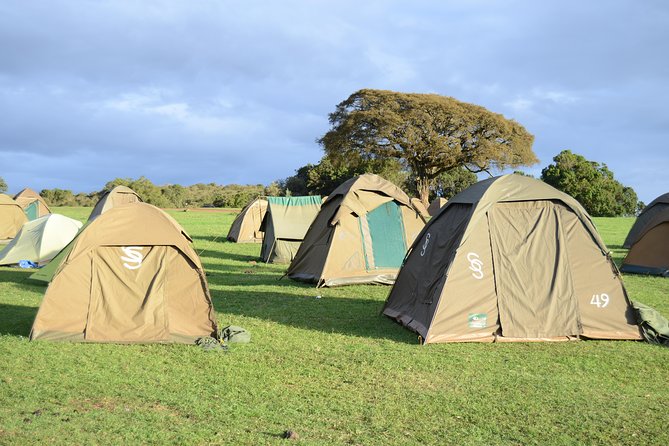 3 Days Serengeti & Ngorongoro Crater group safari - Day 1’s wildlife reality check