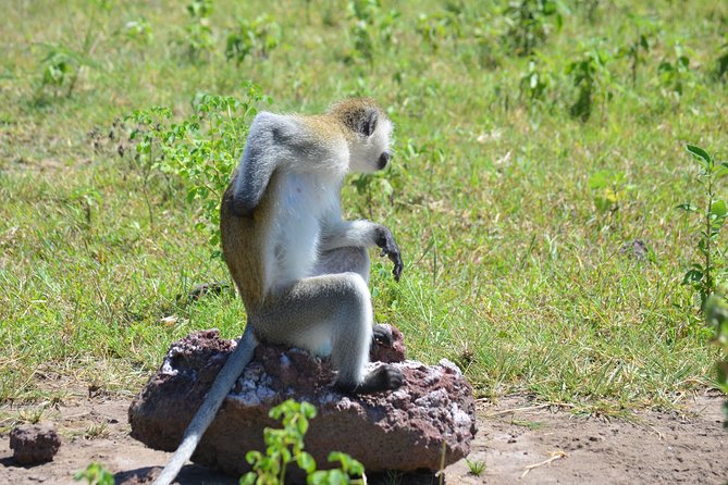 3 Days Serengeti & Ngorongoro Lodge Safari - Arusha To Serengeti: the long drive that sets the tone