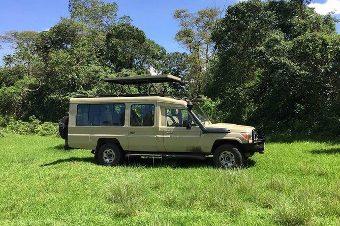 3 Days Serengeti & Ngorongoro Tour - Day 1 in Serengeti: Kopjes, Seronera Valley, and Big Cats Looking Right Back
