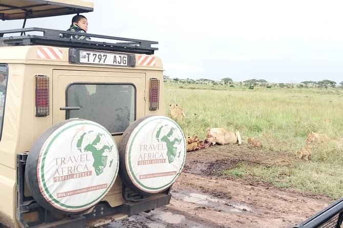 3 Days Small Group Safari to Serengeti NP and Ngorongoro Crater Tour in Tanzania - Day 3: the crater descent, picnic lunch timing, and the Arusha return