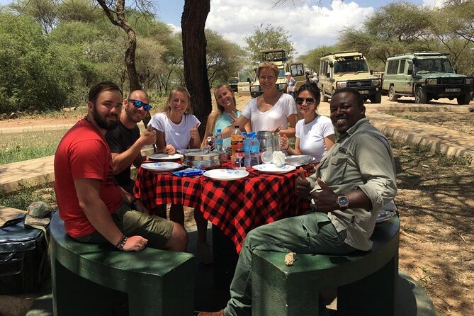 3 Days Small Group Safari to Serengeti NP and Ngorongoro Crater Tour in Tanzania - Meals, park fees, and why the $815 price can be a solid deal