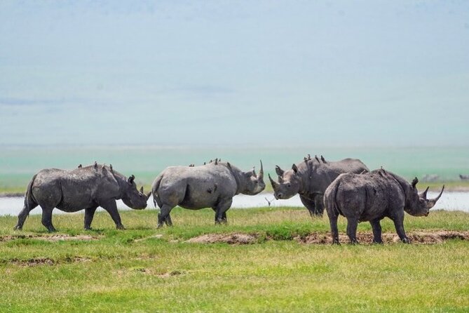 3 Days Tanzania Budget Group Joining Safari Tour - Day 1 in Tarangire National Park: Baobabs, Elephants, and Easy Morning to Evening Flow