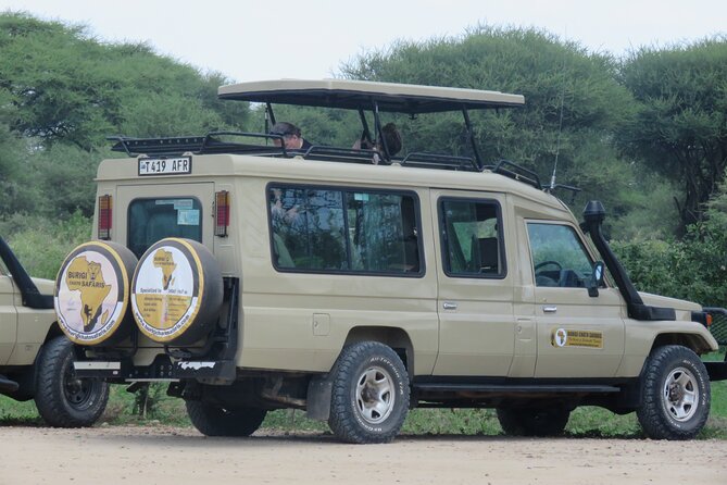 3 Days Tanzania group join safari - Serengeti & Ngorongoro crater - Group join safari reality: timing, max size, and how to make it work for you