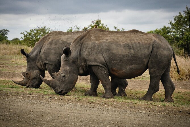 3 Days Tanzania Private Luxury Safari to Serengeti & Ngorongoro - Serengeti Game Drives: Big Five Targets and Great Migration Chances