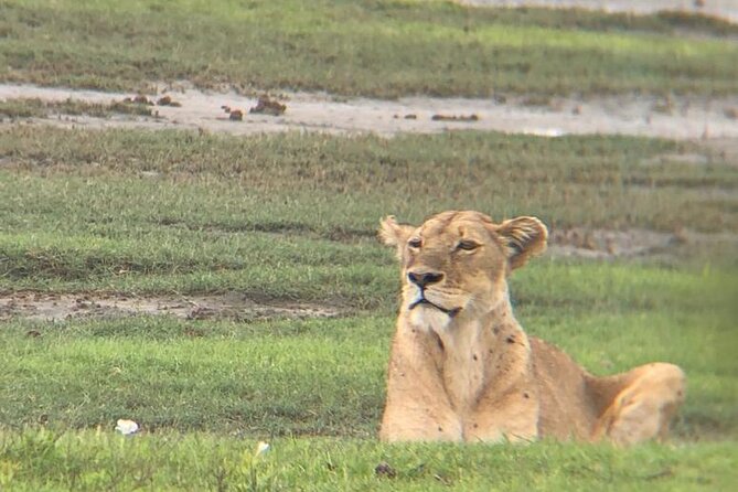 3 Days Tanzania Safari - Pickup, meeting point, and the “start line” in Arusha