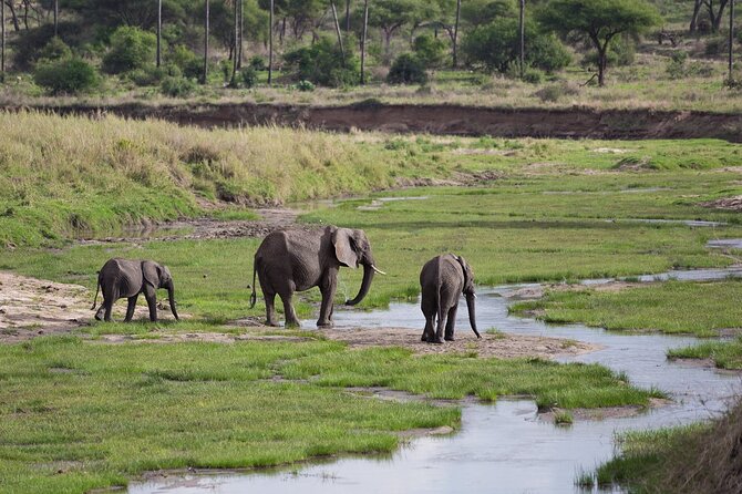 3 Days Tanzania Safari: Tarangire, Manyara and Ngorongoro Crater - Price and value: is $998.65 for 3 days a fair deal?
