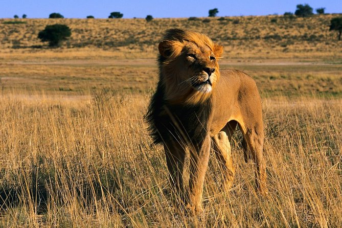3 Days Tanzania Short and Spicy - A Tight 3-Day Safari Loop From Arusha