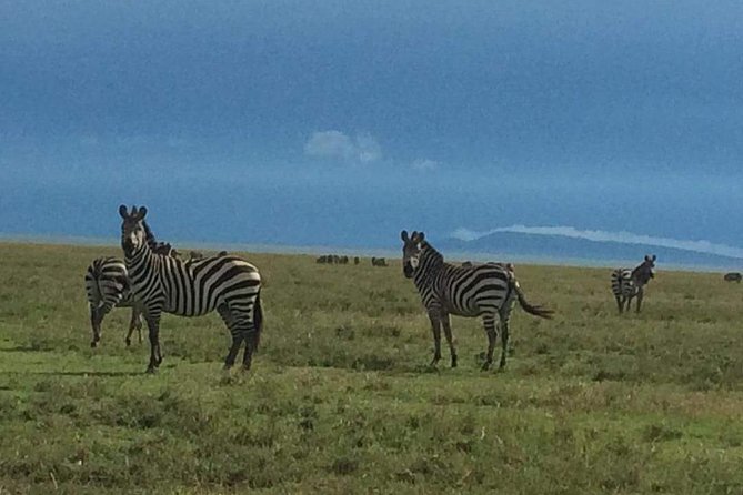 3 days Tarangire, Lake Manyara and Ngorongoro - Tarangire National Park: elephant country and the day’s first big pay-off