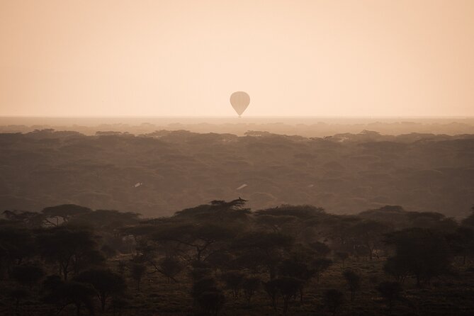 3 days to Serengeti NP and Ngorongoro Crater Tour in Tanzania - Game Drive Days in Serengeti: Plains, Kopjes, and a Hippo Habitat Stop