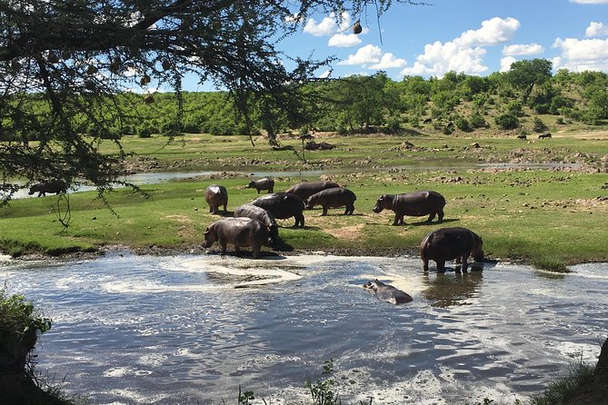 3 Days Unique safari Selous Game Reserve Tanzania - Selous still feels wild, not manufactured