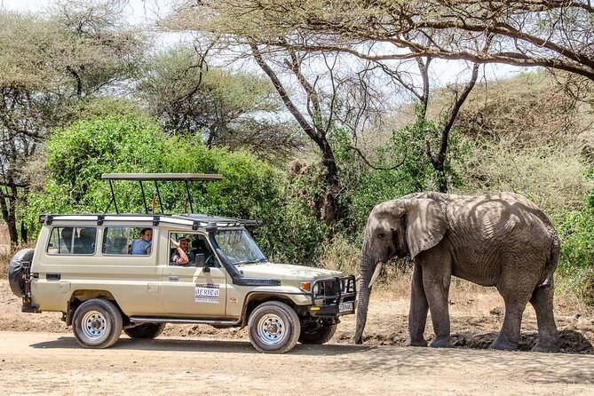 3Days luxury safari to Tarangire Ngorongoro crater and Manyara - Day 1 in Tarangire National Park: Elephants, Marshes, and Open Savanna Time