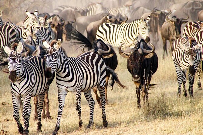 3Days Safari to Tarangire Ngorongoro and manyara lodge safari - A tight 3-day circuit that hits three Tanzania highlights