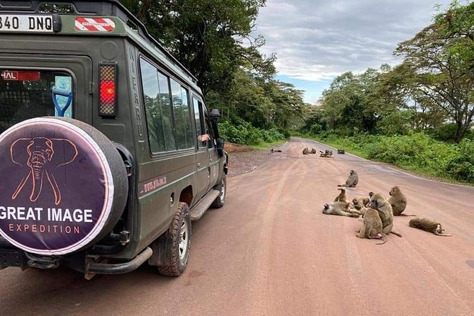 3days Serengeti National park and Ngorongoro Crater Tanzania Safari - Ngorongoro Crater floor: a full day built for tracking and big-five odds
