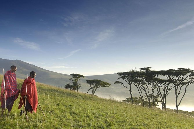 4 Day: Astonishing Group Safari - Who should book this, and who might prefer something else