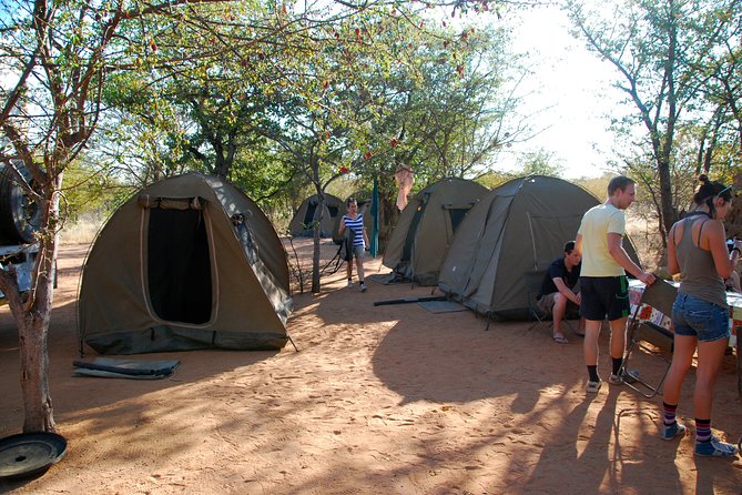 4-Day Basic Safari with Serengeti, Ngorongoro, & Tarangire - Sunrise Serengeti game drives around 06:30 and why that timing helps